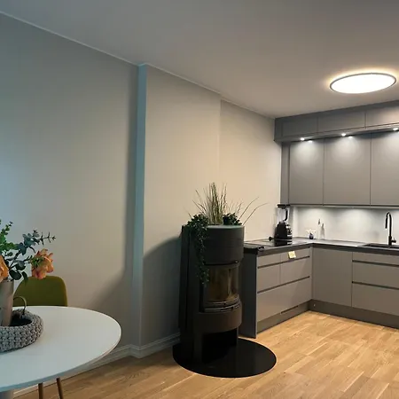 Vika ,aker Brygge Apartments, Slottet Apartman *